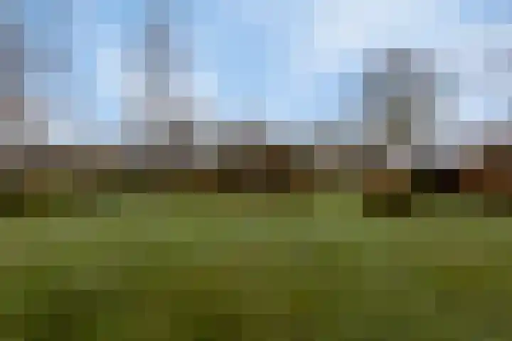 2e Barlagerweg 20 Onstwedde thumbnail 51