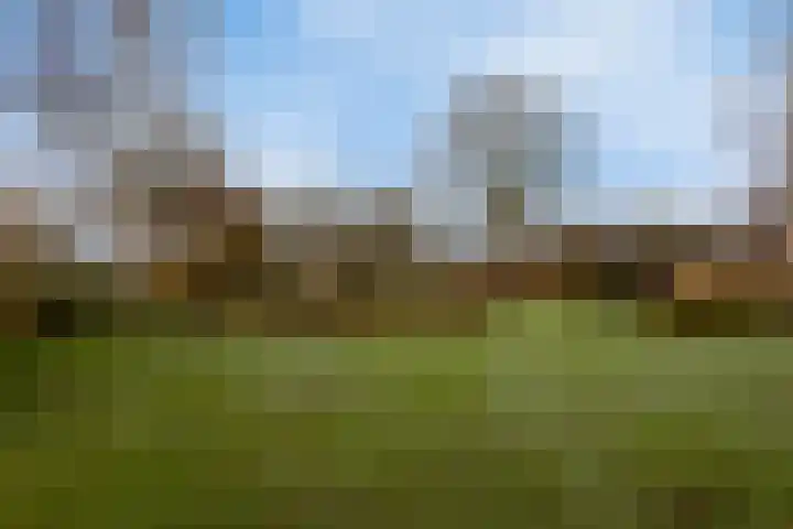 2e Barlagerweg 20 Onstwedde thumbnail 52