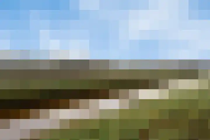 2e Barlagerweg 20 Onstwedde thumbnail 53