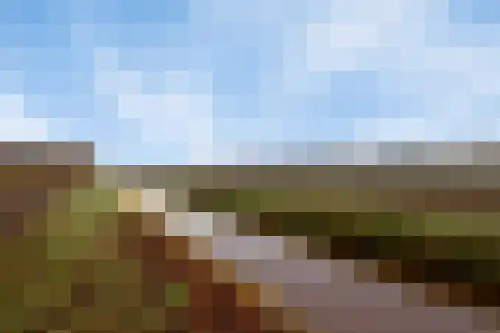 2e Barlagerweg 20 Onstwedde thumbnail 54