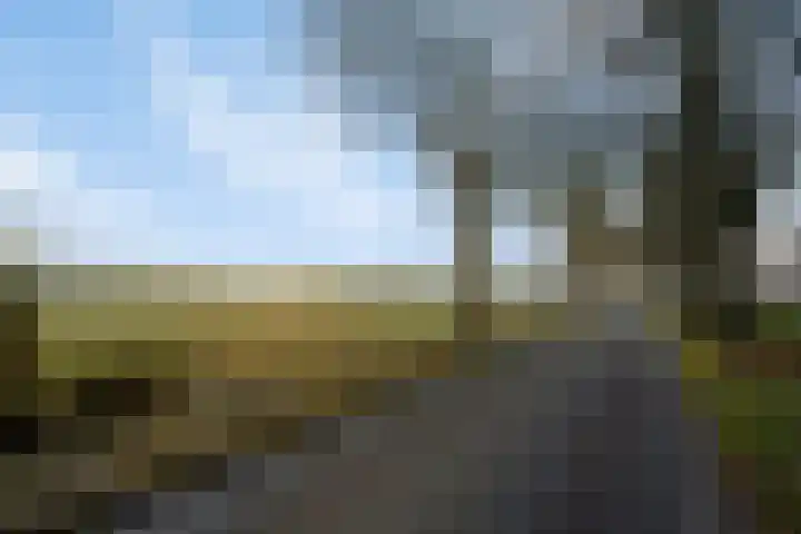2e Barlagerweg 20 Onstwedde thumbnail 55