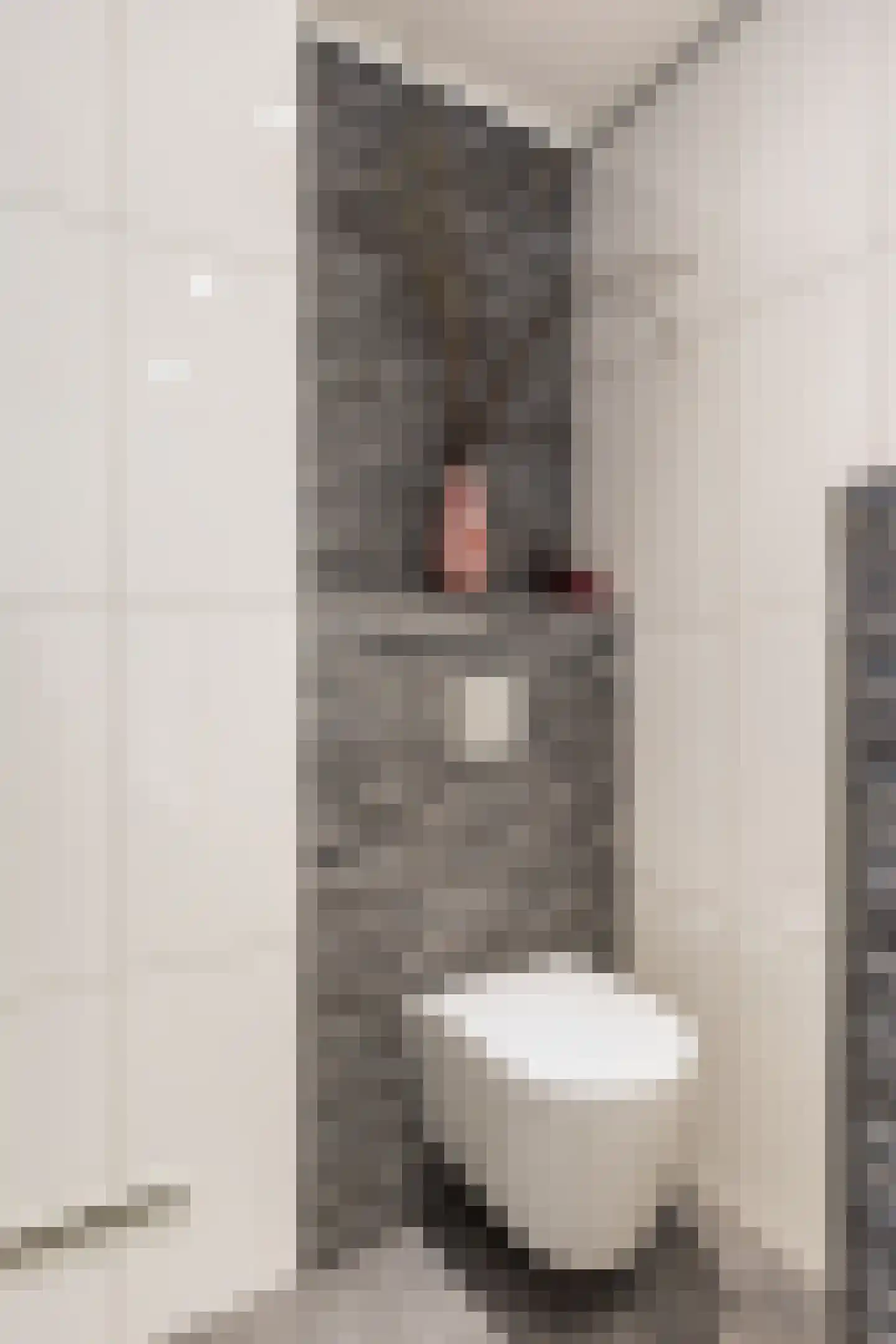 2e Beukenlaan 2 Apeldoorn thumbnail 35