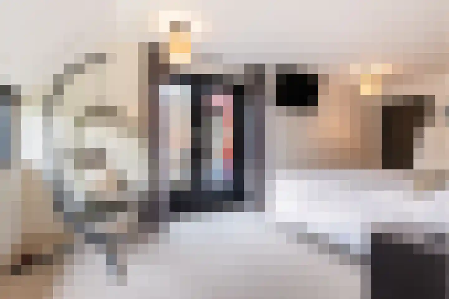 2e Beukenlaan 2 Apeldoorn thumbnail 36