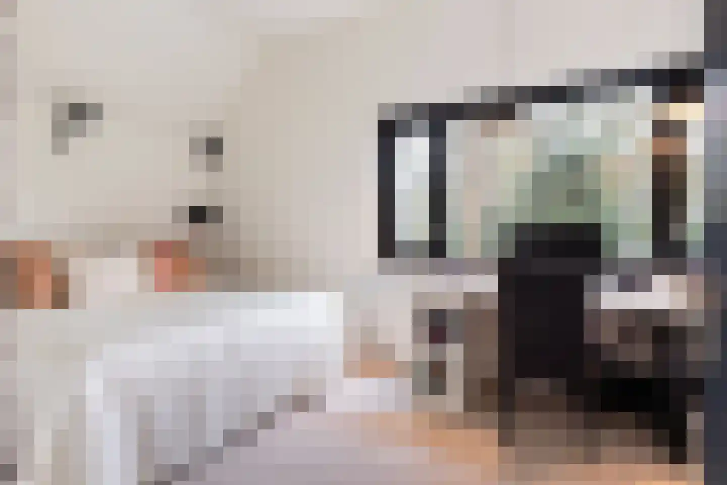 2e Beukenlaan 2 Apeldoorn thumbnail 37