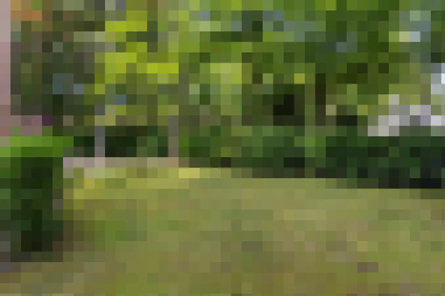 2e Beukenlaan 2 Apeldoorn thumbnail 49