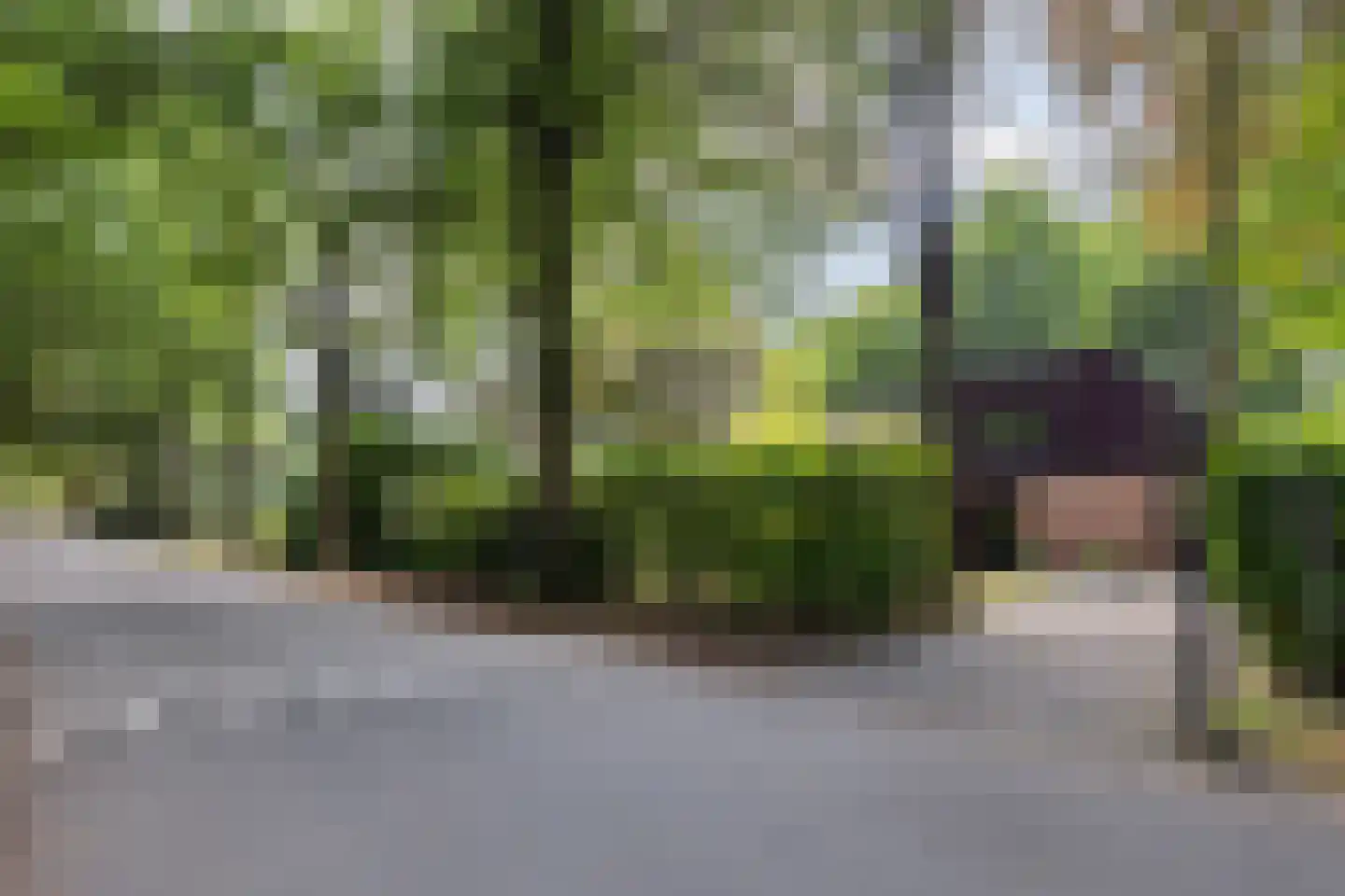 2e Beukenlaan 2 Apeldoorn thumbnail 53