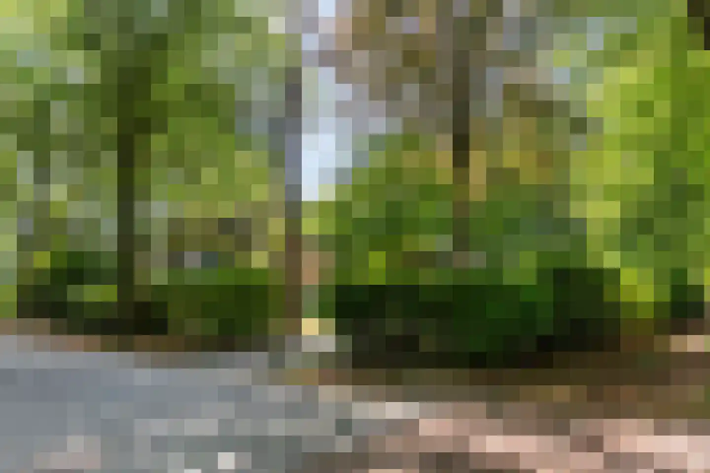 2e Beukenlaan 2 Apeldoorn thumbnail 54