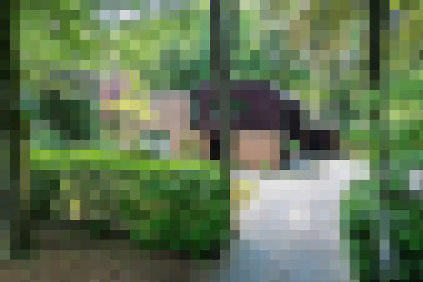 2e Beukenlaan 2 Apeldoorn thumbnail 55