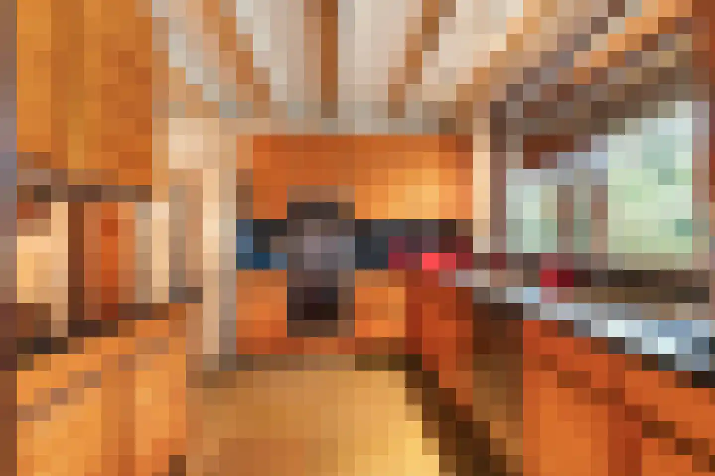 2e Beukenlaan 22 Apeldoorn thumbnail 22
