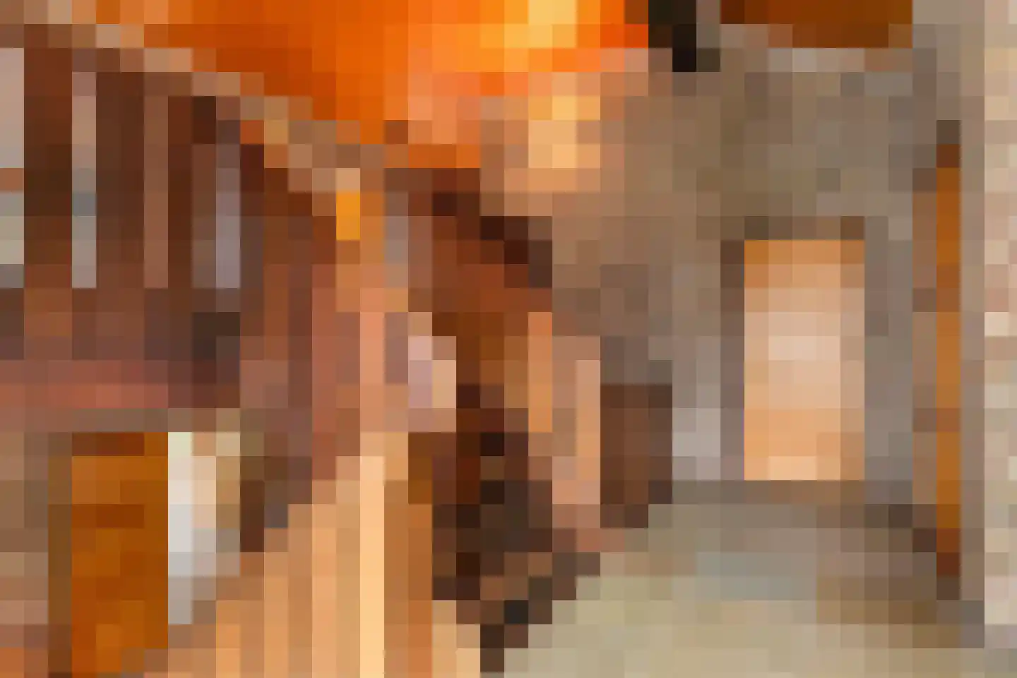 2e Beukenlaan 22 Apeldoorn thumbnail 24