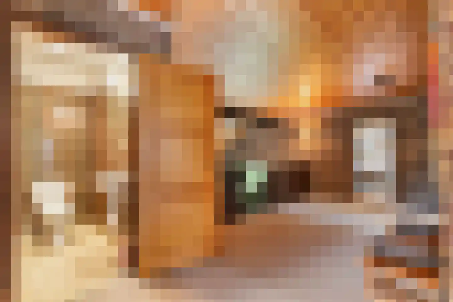 2e Beukenlaan 22 Apeldoorn thumbnail 32
