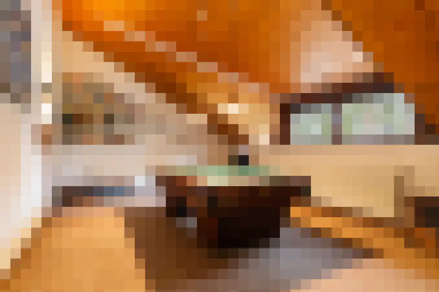 2e Beukenlaan 22 Apeldoorn thumbnail 34