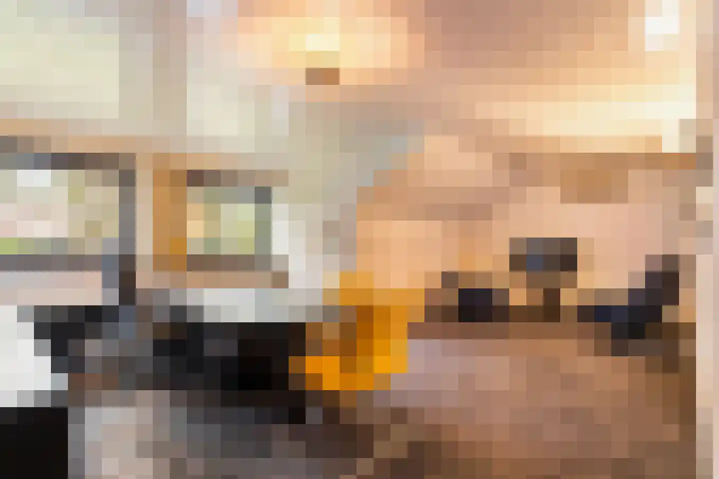 2e Beukenlaan 22 Apeldoorn thumbnail 42