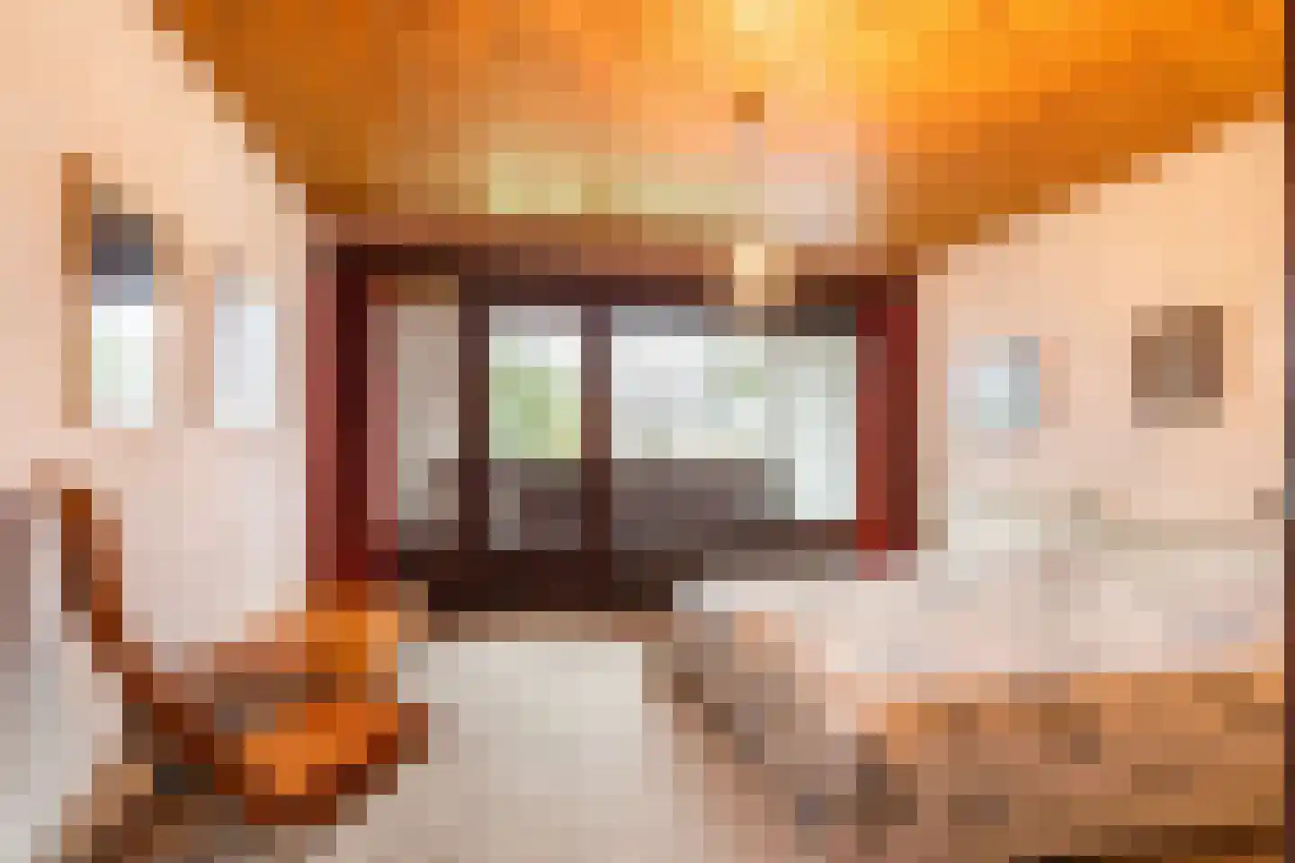 2e Beukenlaan 22 Apeldoorn thumbnail 44