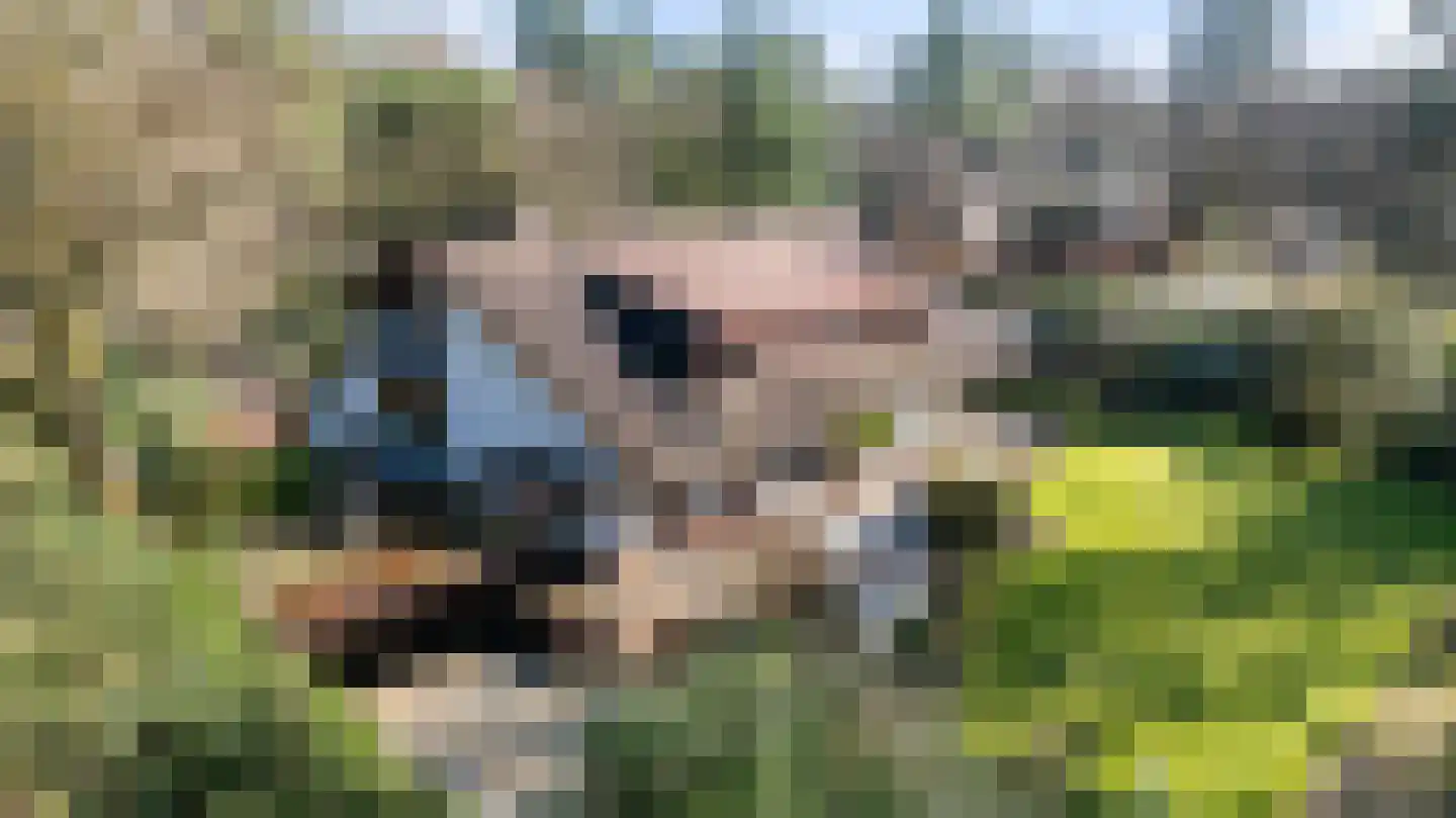 2e Beukenlaan 22 Apeldoorn thumbnail 5