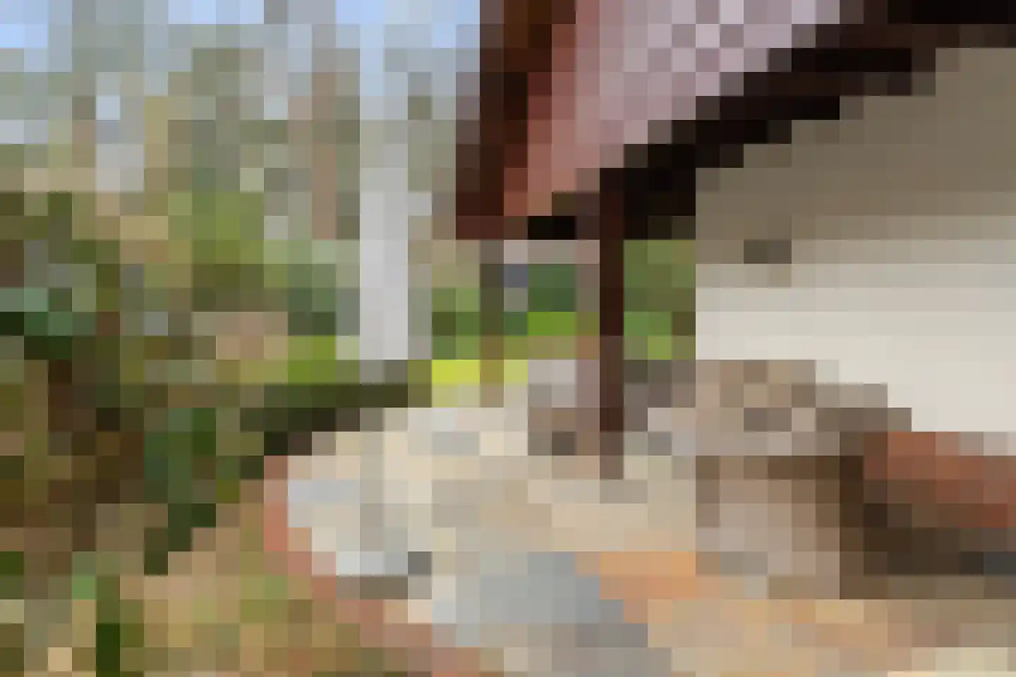 2e Beukenlaan 22 Apeldoorn thumbnail 56