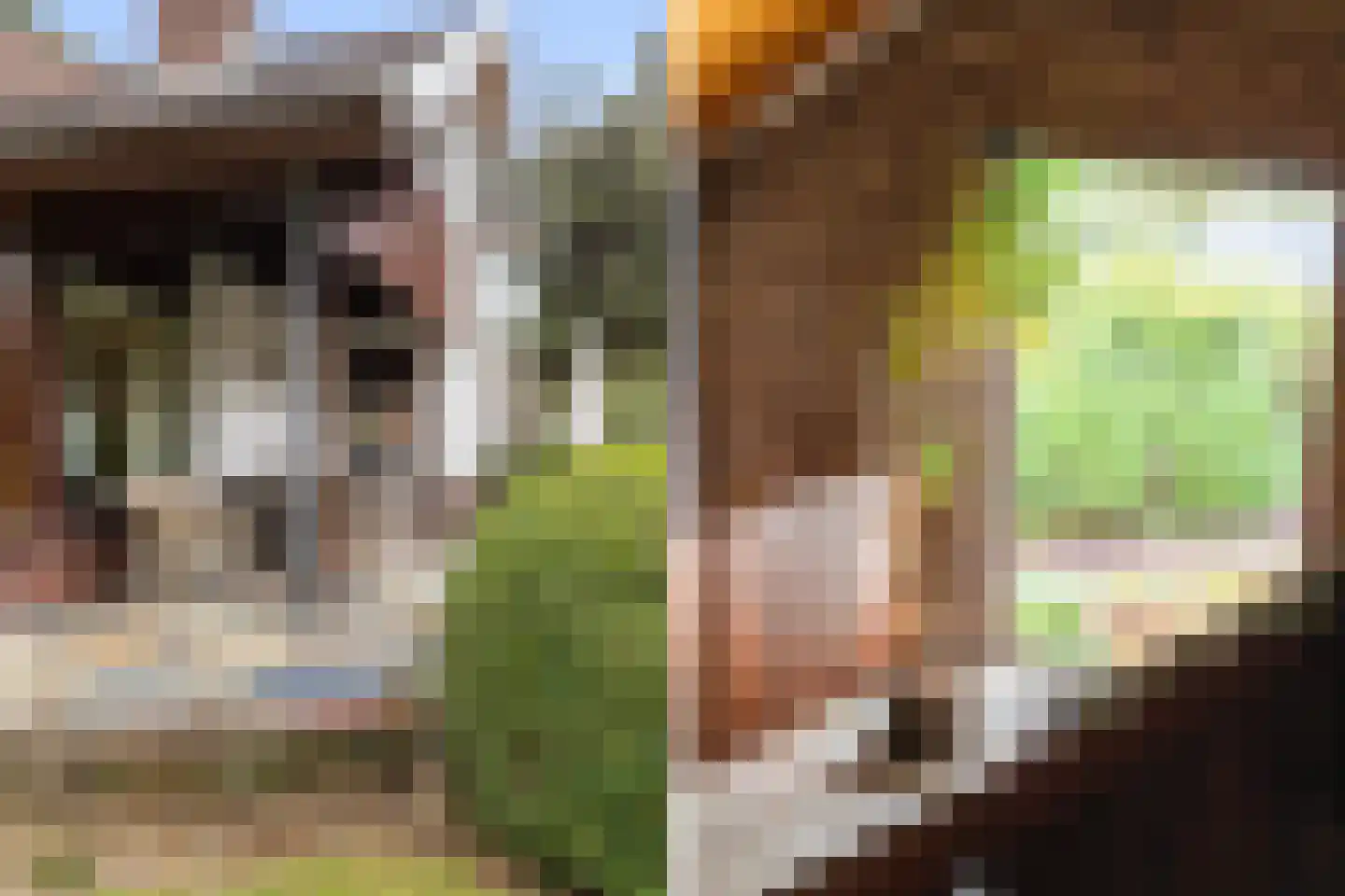 2e Beukenlaan 22 Apeldoorn thumbnail 57
