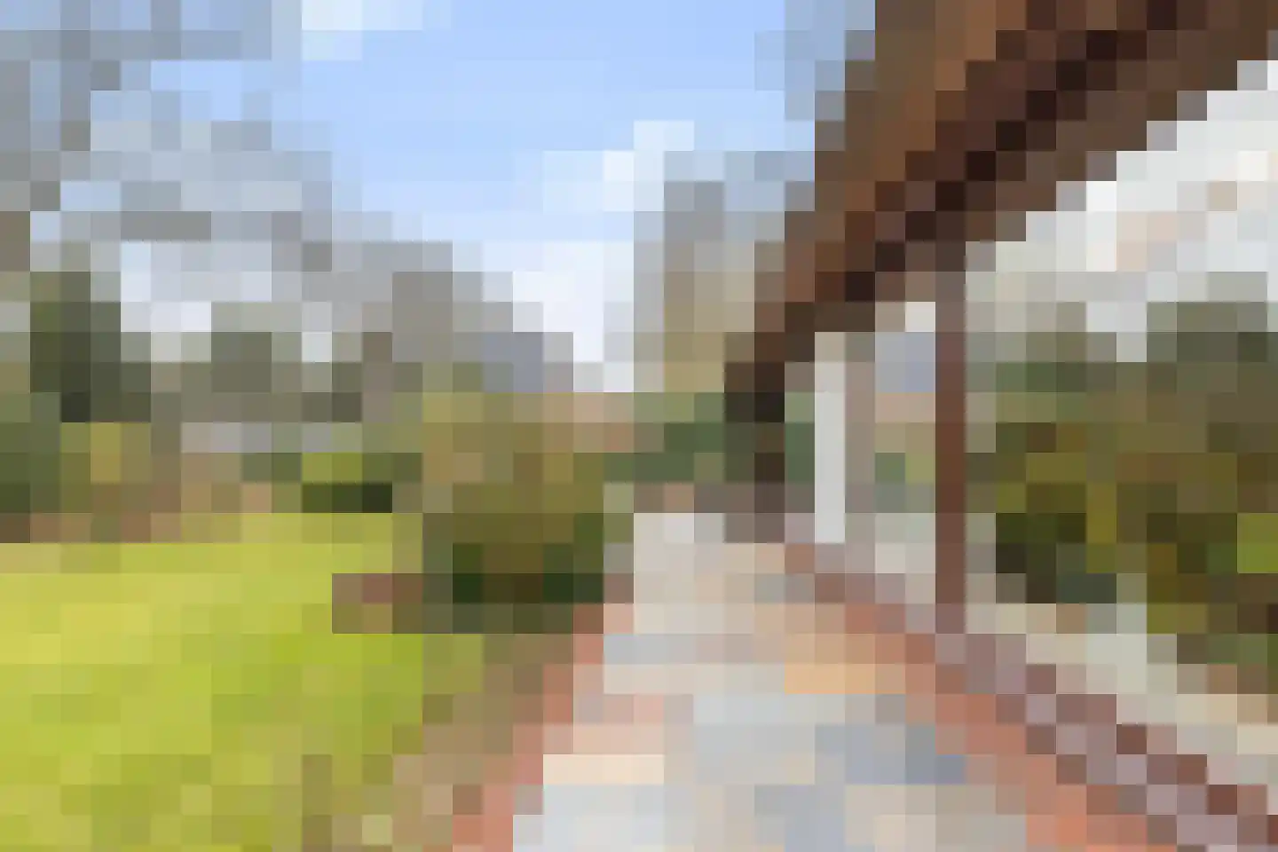2e Beukenlaan 22 Apeldoorn thumbnail 59