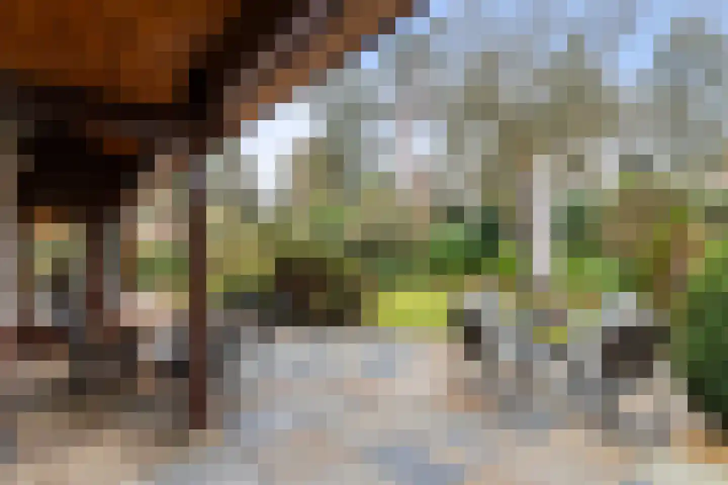 2e Beukenlaan 22 Apeldoorn thumbnail 60