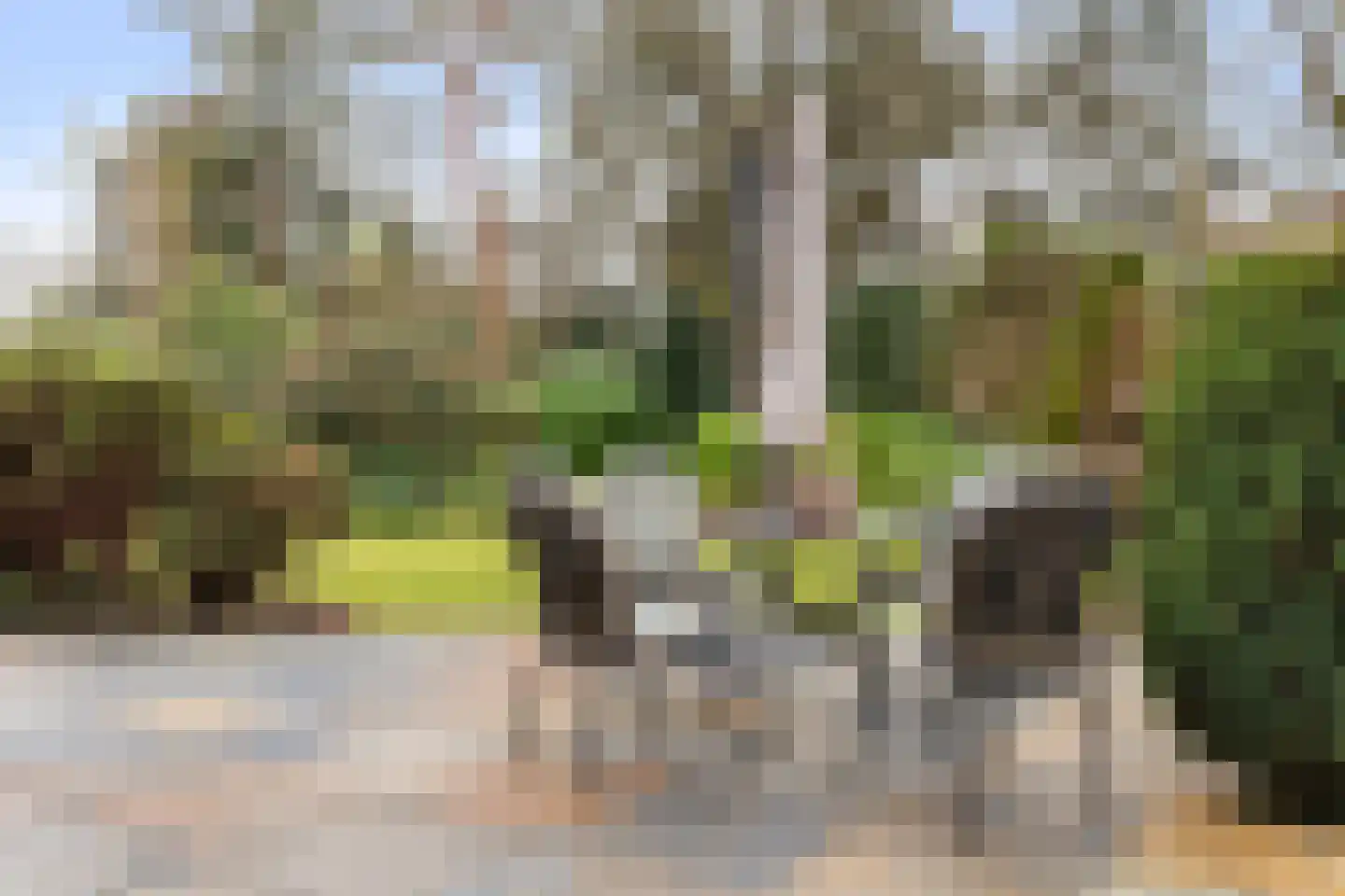 2e Beukenlaan 22 Apeldoorn thumbnail 62