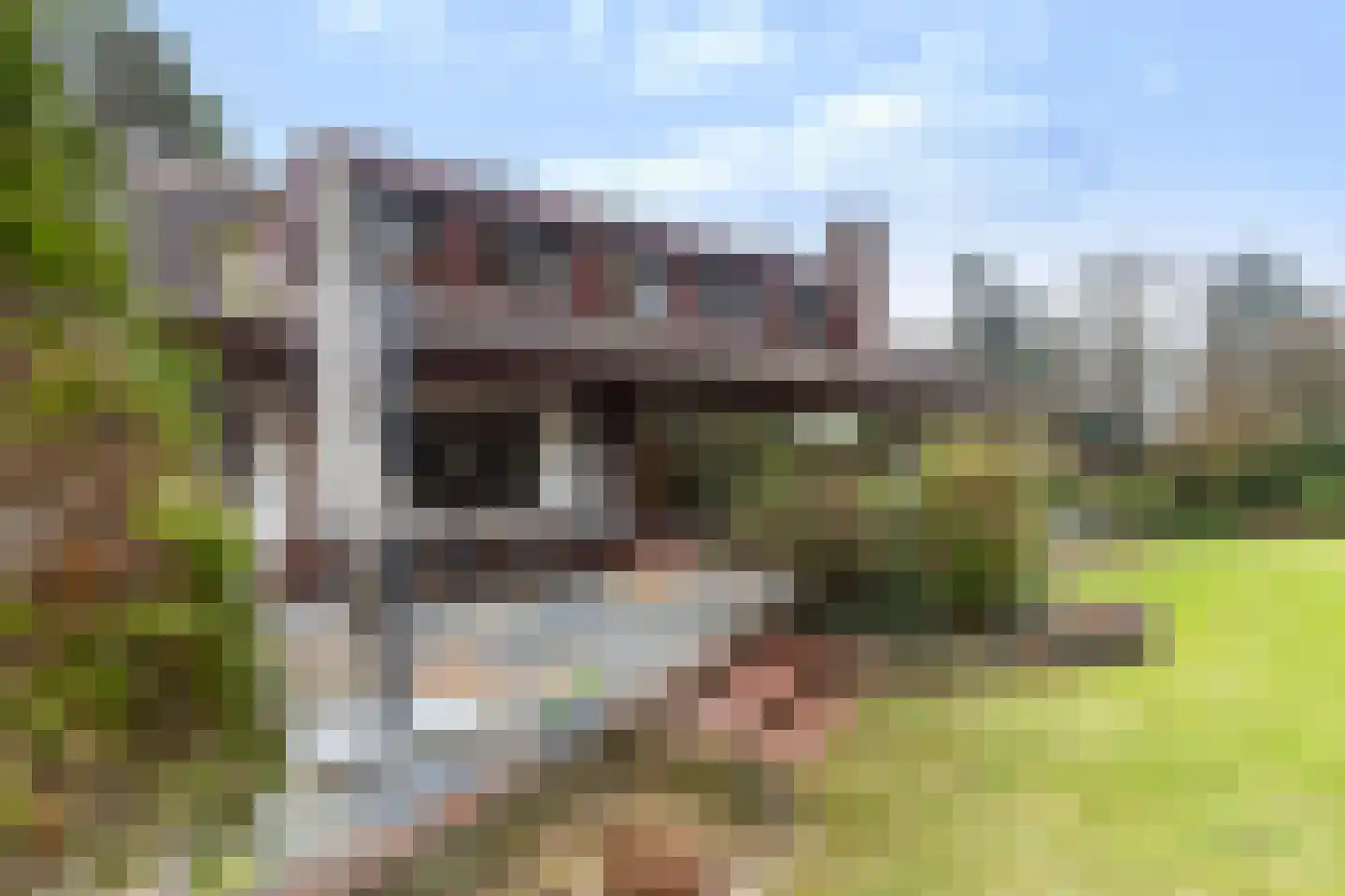 2e Beukenlaan 22 Apeldoorn thumbnail 63