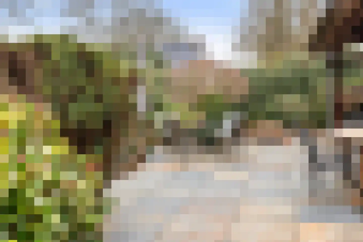 2e Beukenlaan 22 Apeldoorn thumbnail 65