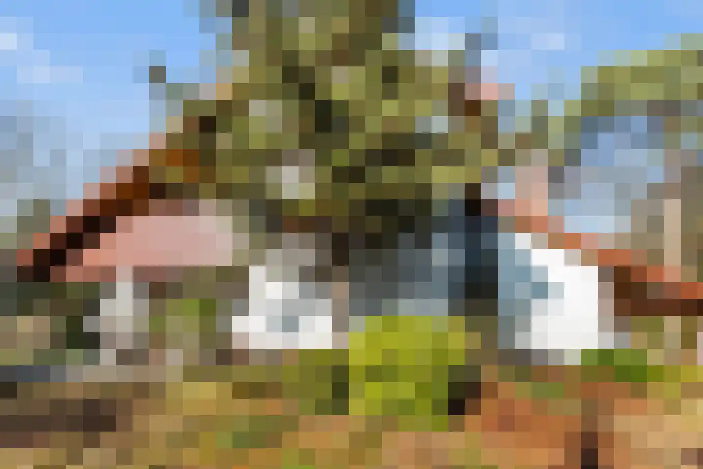 2e Beukenlaan 22 Apeldoorn thumbnail 68
