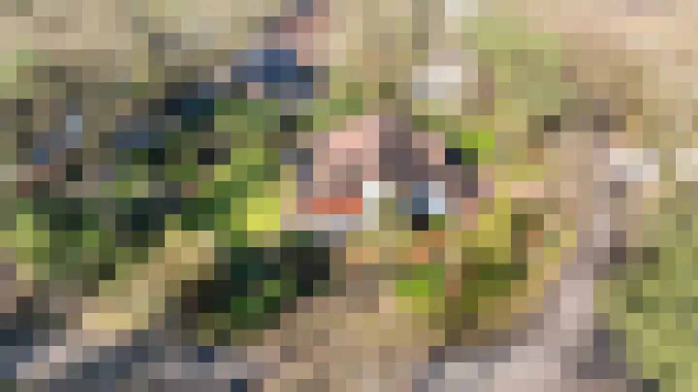 2e Beukenlaan 22 Apeldoorn thumbnail 7