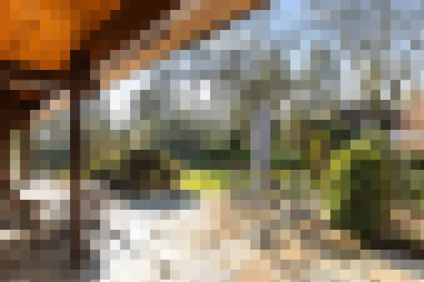 2e Beukenlaan 22 Apeldoorn thumbnail 70