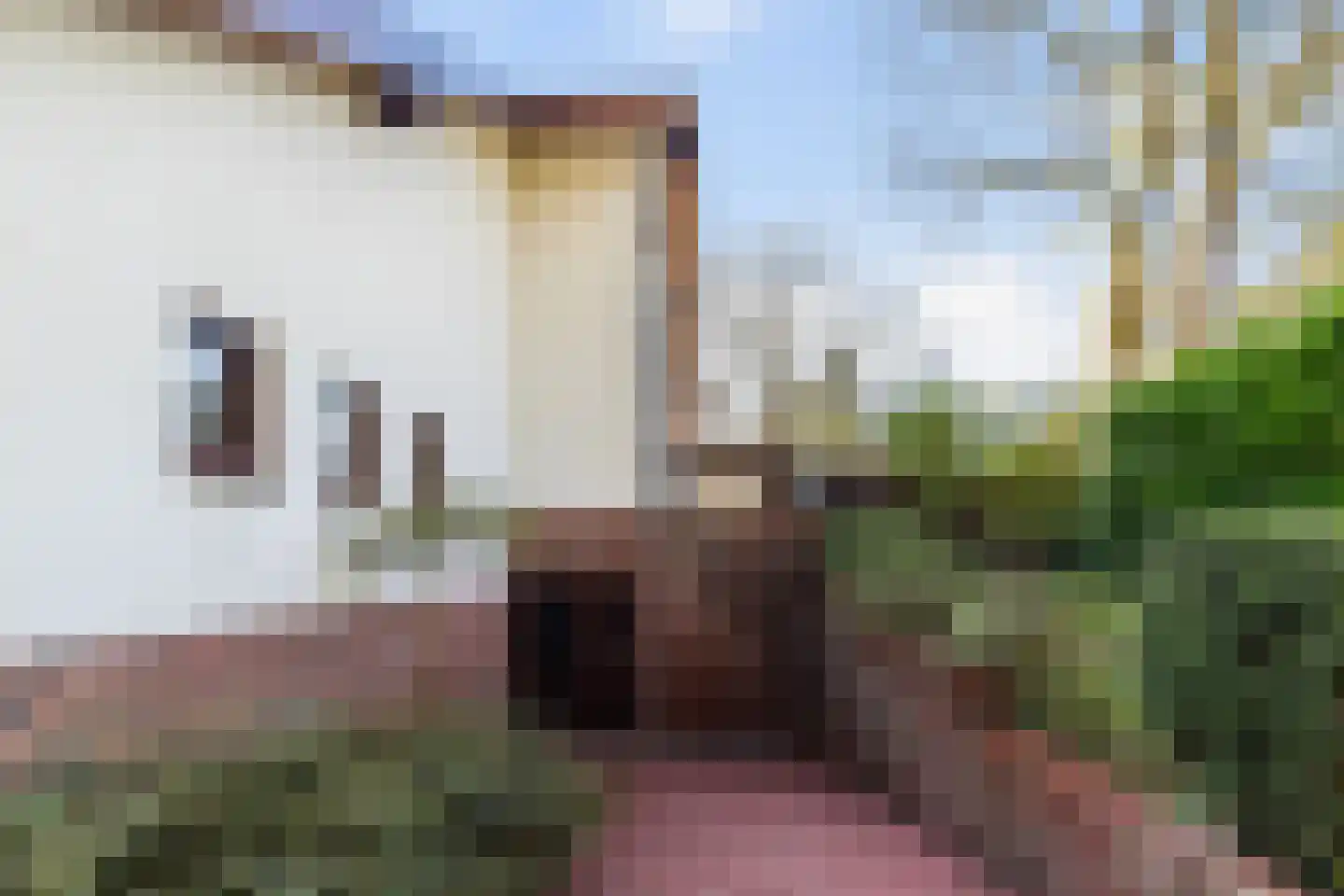 2e Beukenlaan 22 Apeldoorn thumbnail 74