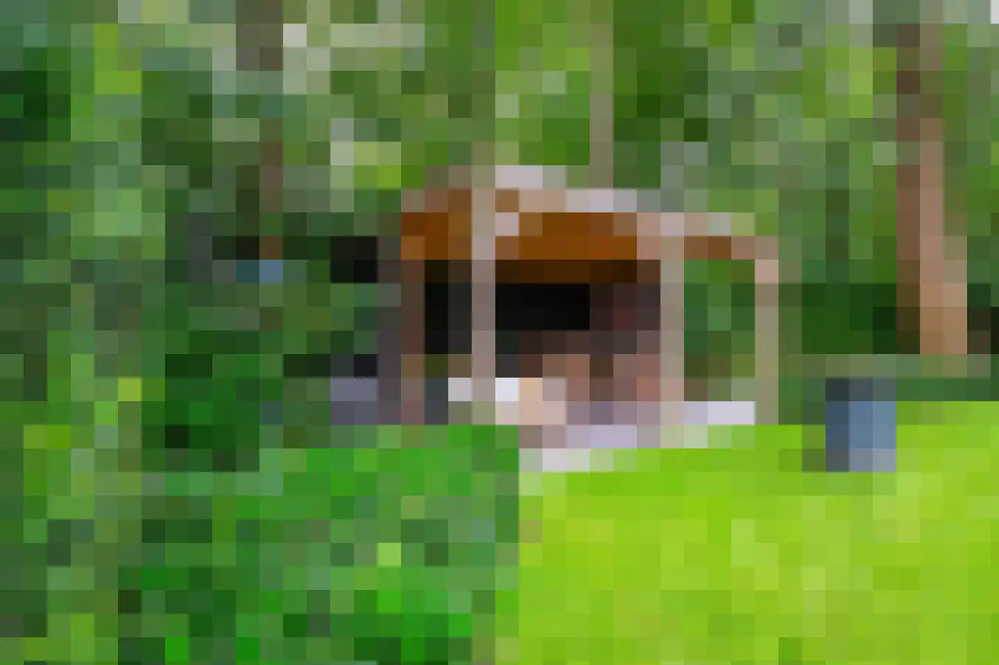 2e Beukenlaan 37 Apeldoorn thumbnail 46
