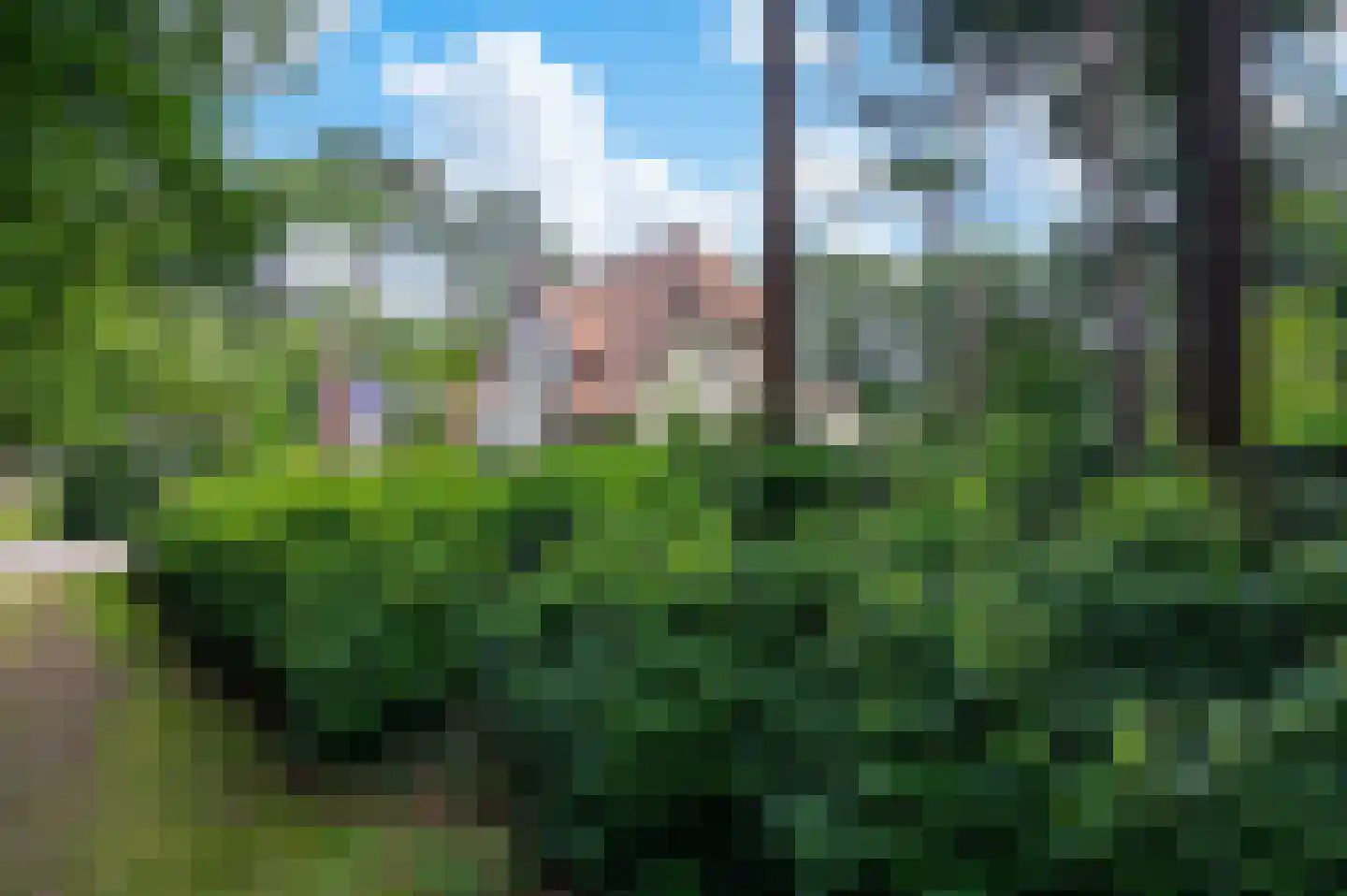 2e Beukenlaan 37 Apeldoorn thumbnail 51