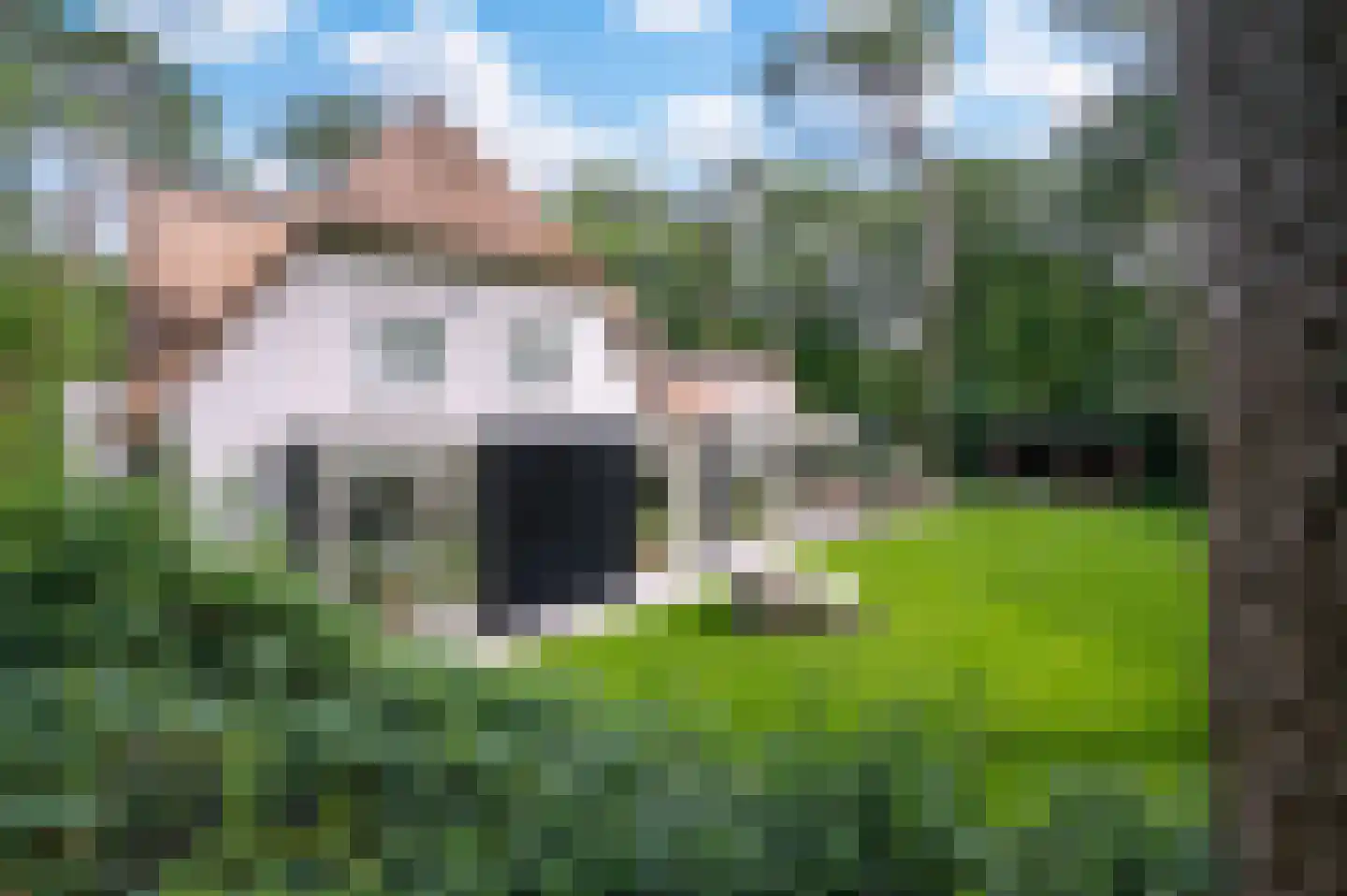 2e Beukenlaan 37 Apeldoorn thumbnail 52