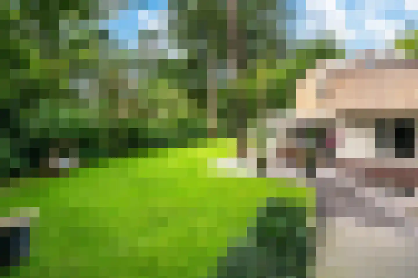 2e Beukenlaan 37 Apeldoorn thumbnail 53