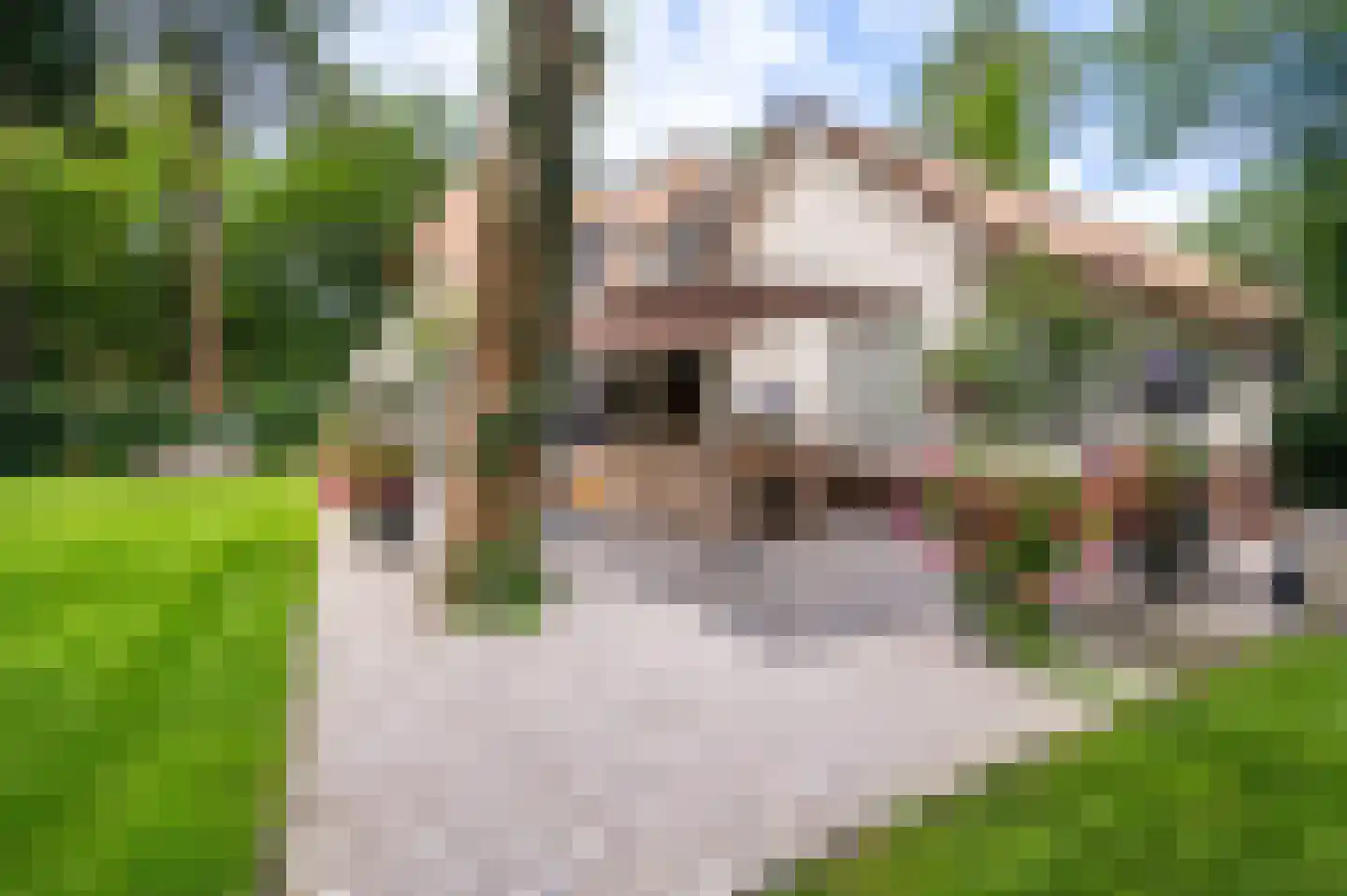 2e Beukenlaan 37 Apeldoorn thumbnail 55