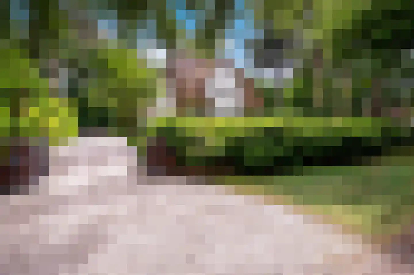 2e Beukenlaan 37 Apeldoorn thumbnail 57
