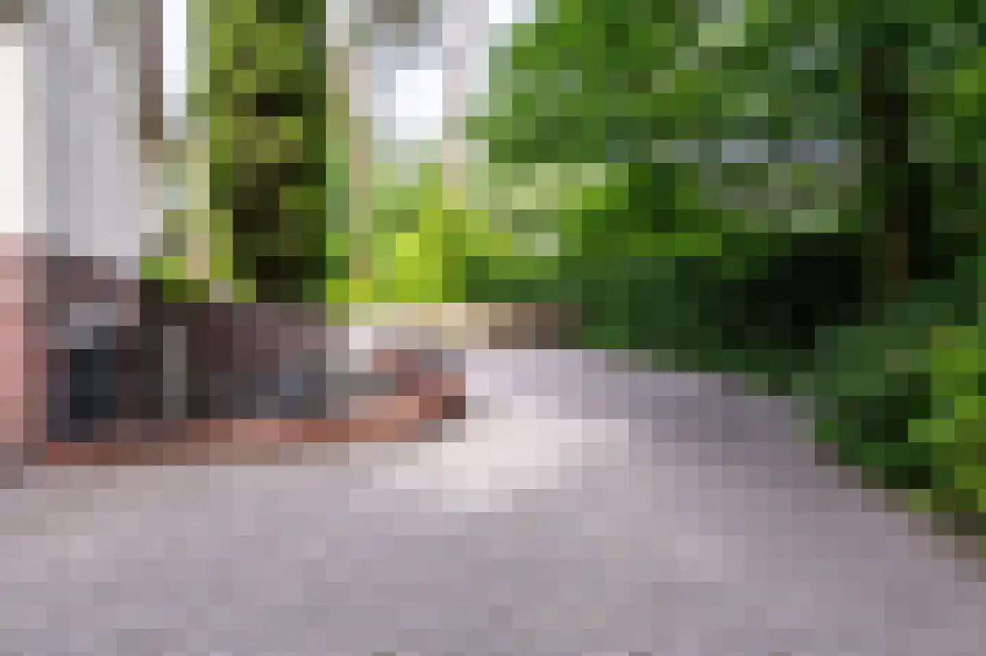2e Beukenlaan 37 Apeldoorn thumbnail 59