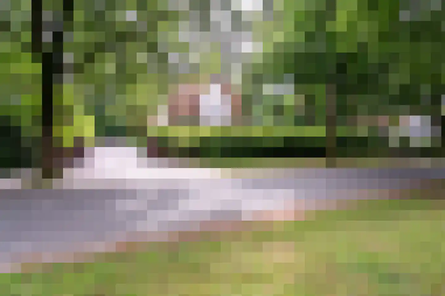 2e Beukenlaan 37 Apeldoorn thumbnail 61