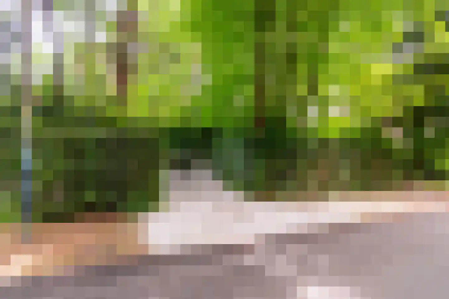 2e Beukenlaan 37 Apeldoorn thumbnail 63