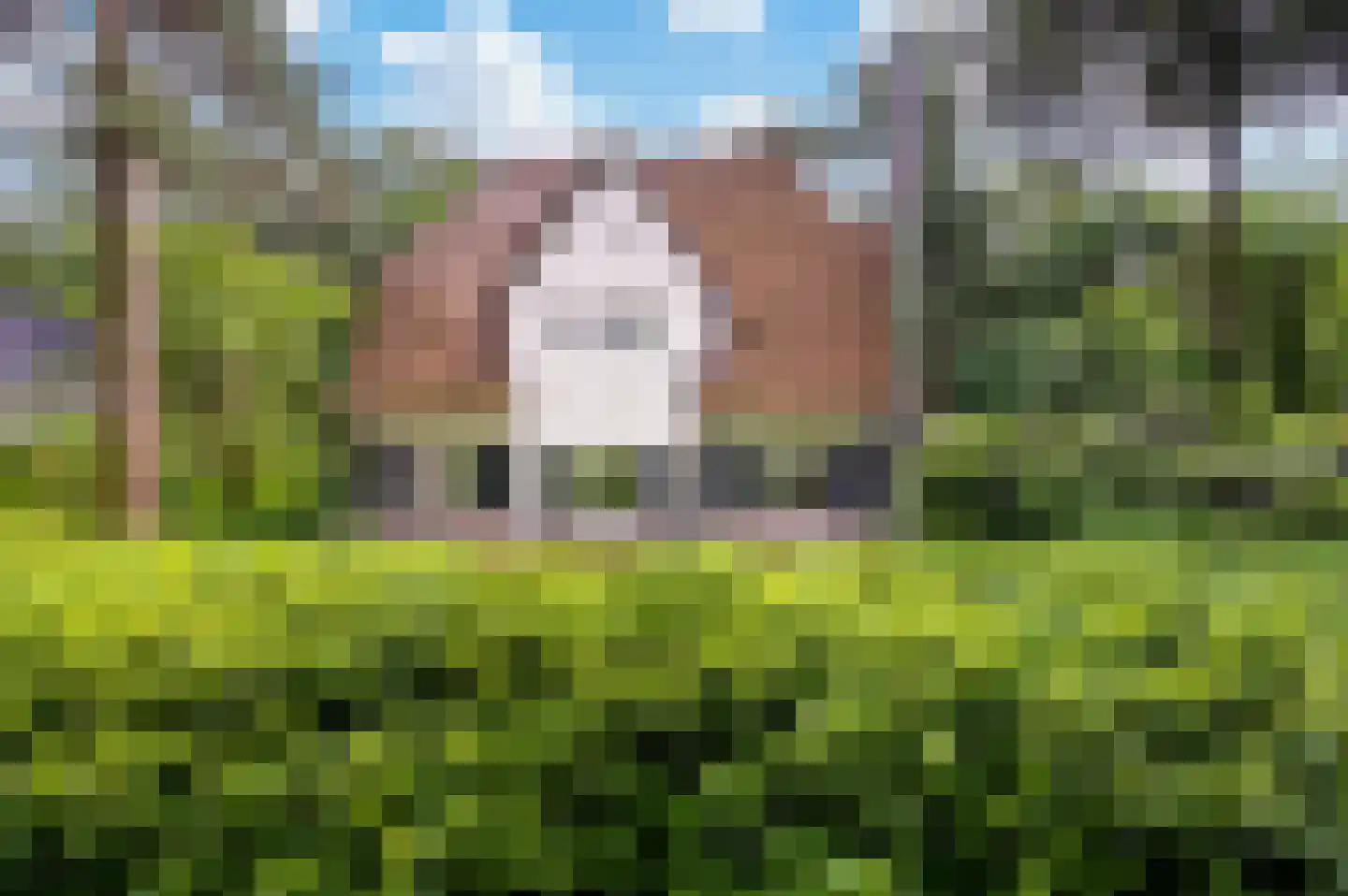 2e Beukenlaan 37 Apeldoorn thumbnail 64