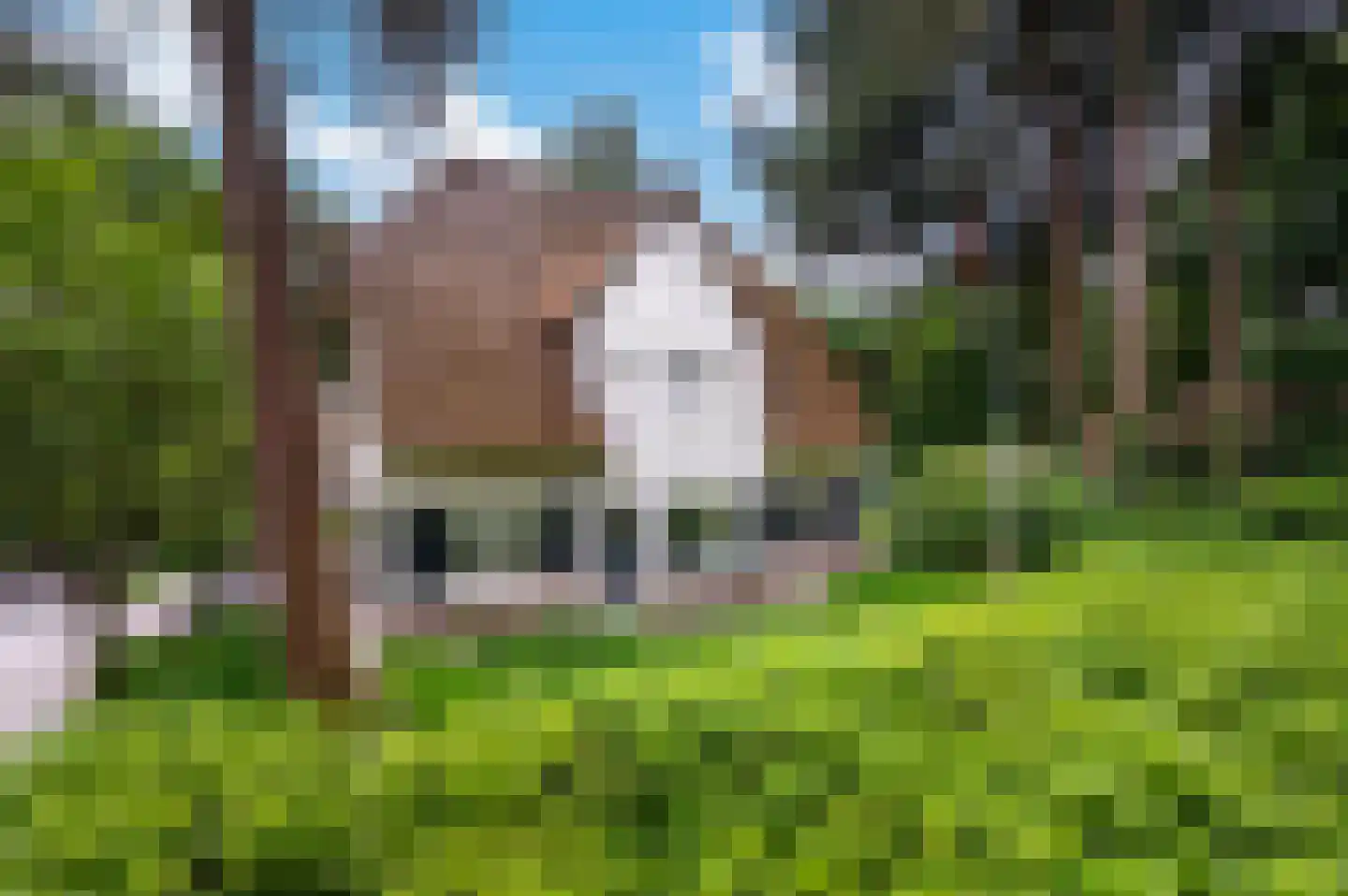 2e Beukenlaan 37 Apeldoorn thumbnail 67