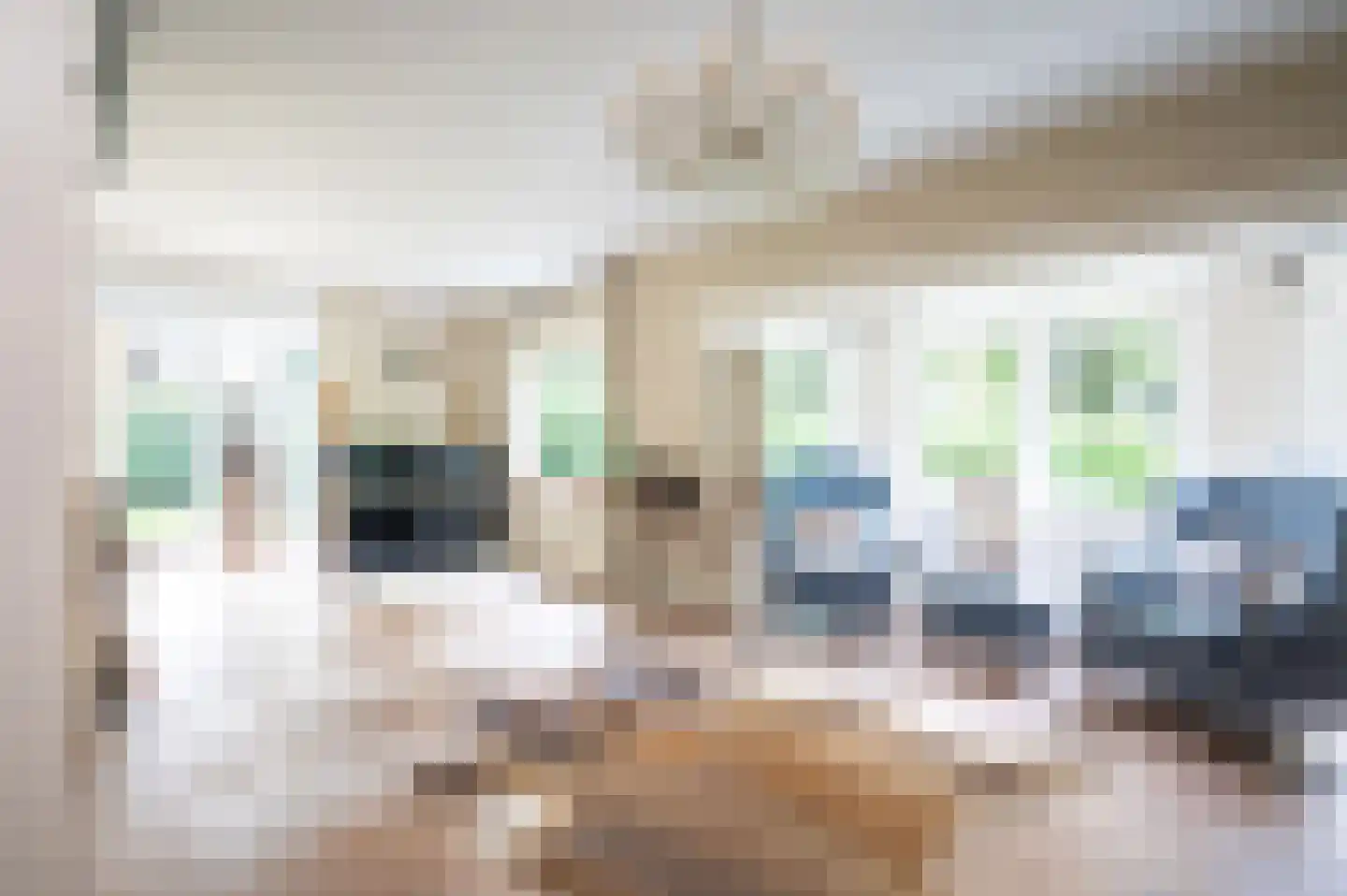 2e Beukenlaan 37 Apeldoorn thumbnail 8