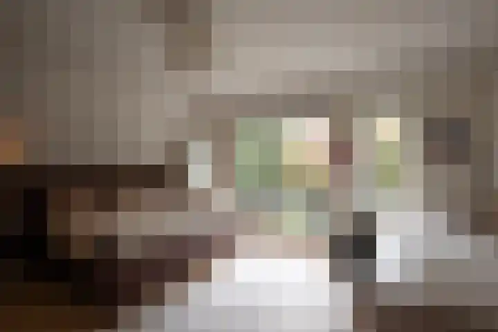 2e Beukenlaan 4 Apeldoorn thumbnail 23
