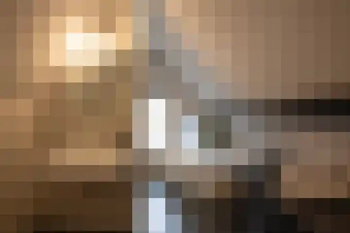 2e Beukenlaan 4 Apeldoorn thumbnail 24