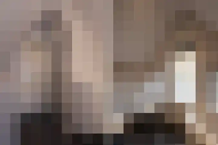 2e Beukenlaan 4 Apeldoorn thumbnail 25