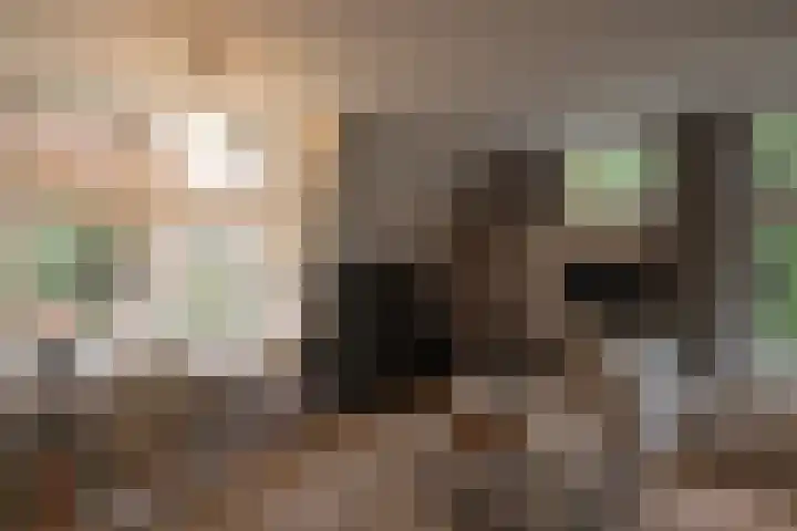 2e Beukenlaan 4 Apeldoorn thumbnail 26