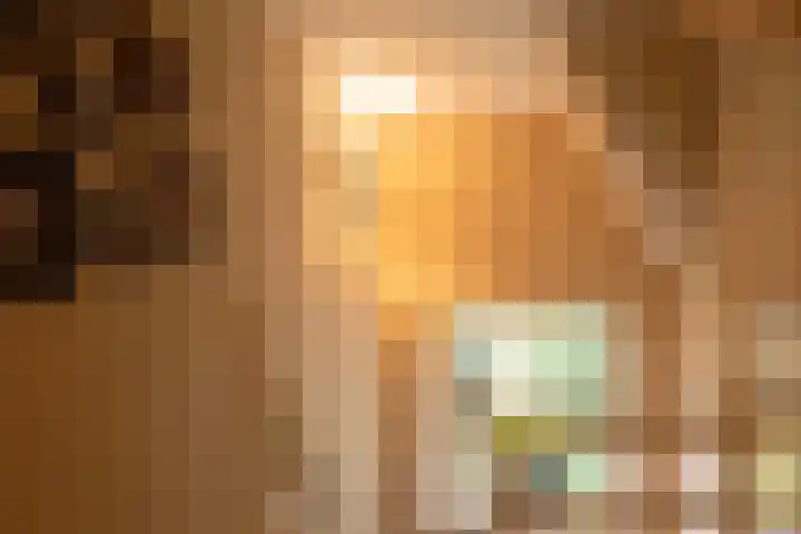 2e Beukenlaan 4 Apeldoorn thumbnail 30
