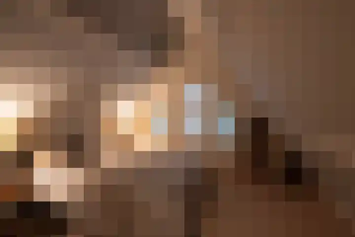 2e Beukenlaan 4 Apeldoorn thumbnail 33