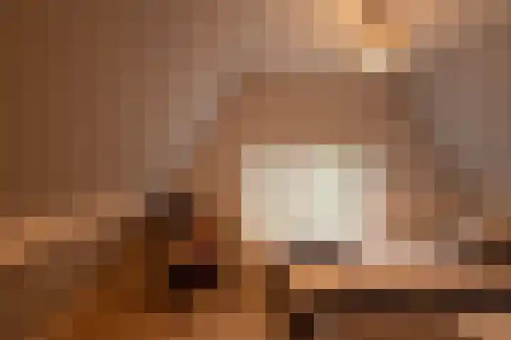 2e Beukenlaan 4 Apeldoorn thumbnail 34