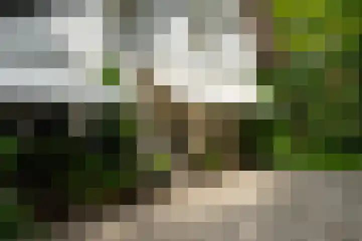2e Beukenlaan 4 Apeldoorn thumbnail 40